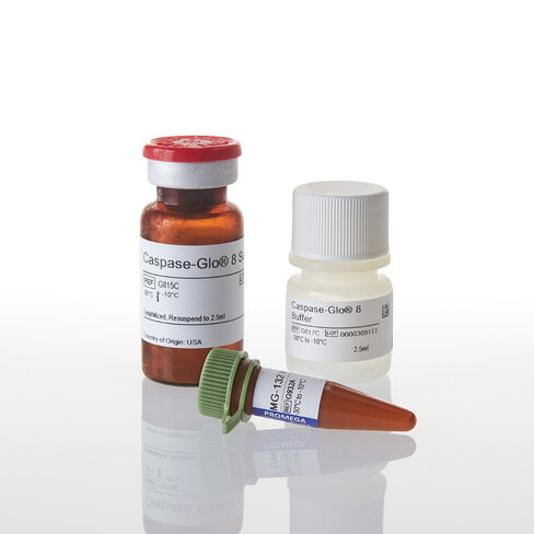 Caspase-Glo 8 Assay 2,5 mL