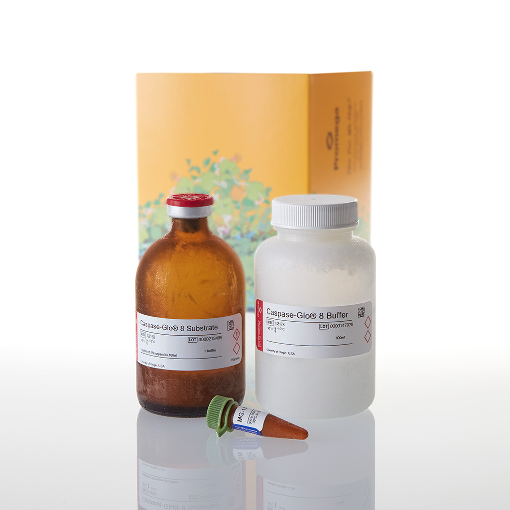 Caspase-Glo 8 Assay 100 mL