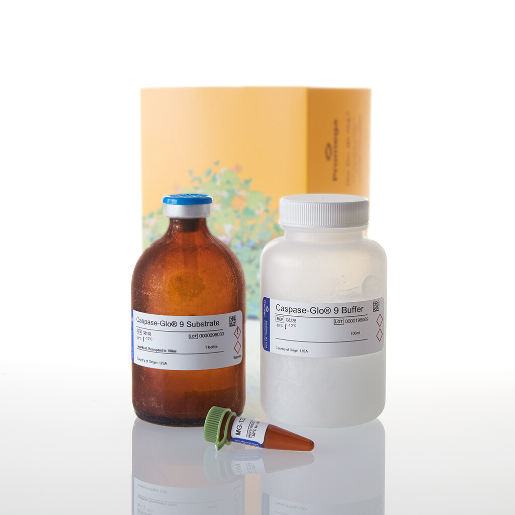 Caspase-Glo 9 Assay 100 ml