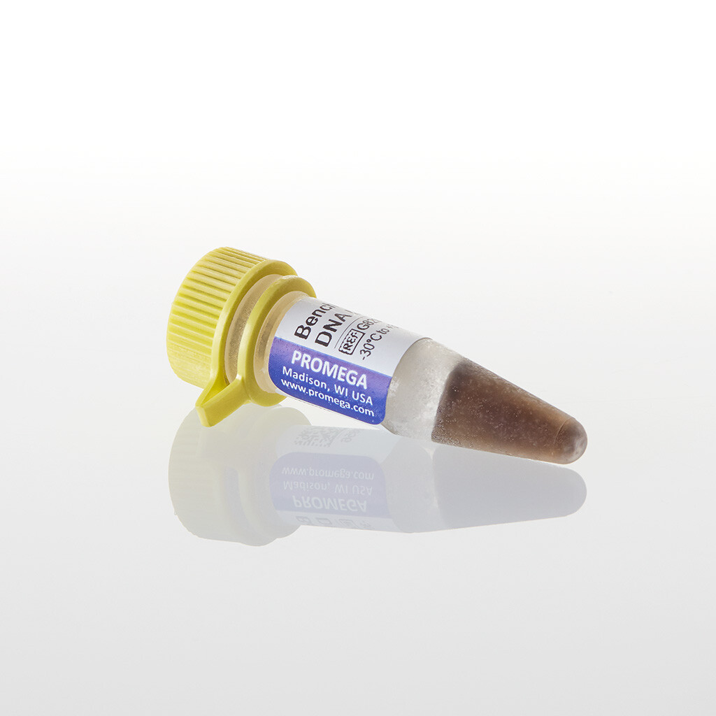 BenchTop 100bp DNA Ladder 300 µl