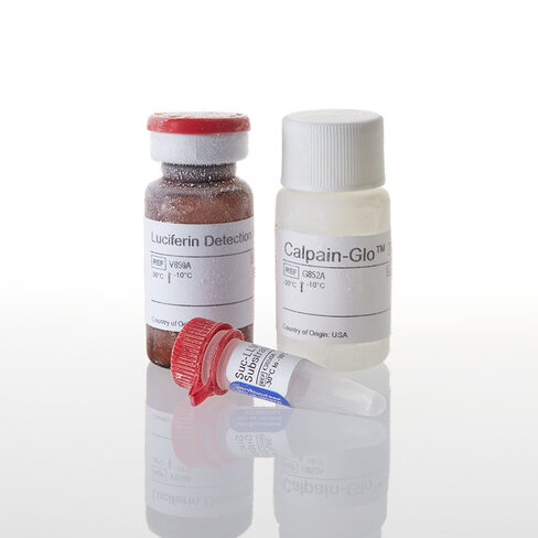 Calpain-Glo Protease Assay 10 mL