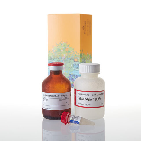 Calpain-Glo Protease Assay 50 ml