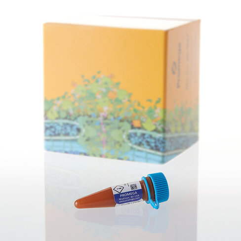 HaloTag Coumarin Ligand 30 µl