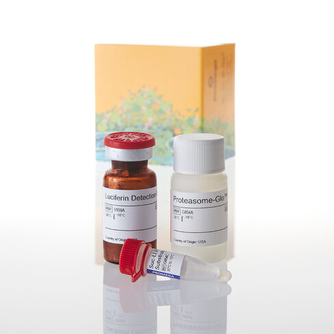 Proteasome-Glo Chymo- trypsin-Like A 10 mL