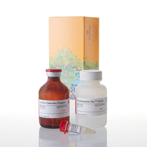 Proteasome-Glo Chymotrypsin-Like Assay 50 ml