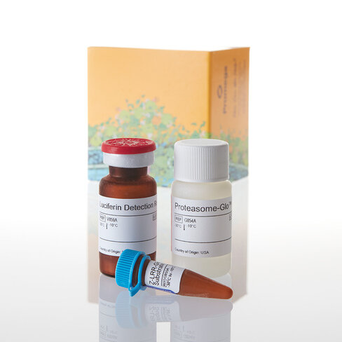 Proteasome-Glo Trypsin- Like Assay 10 mL