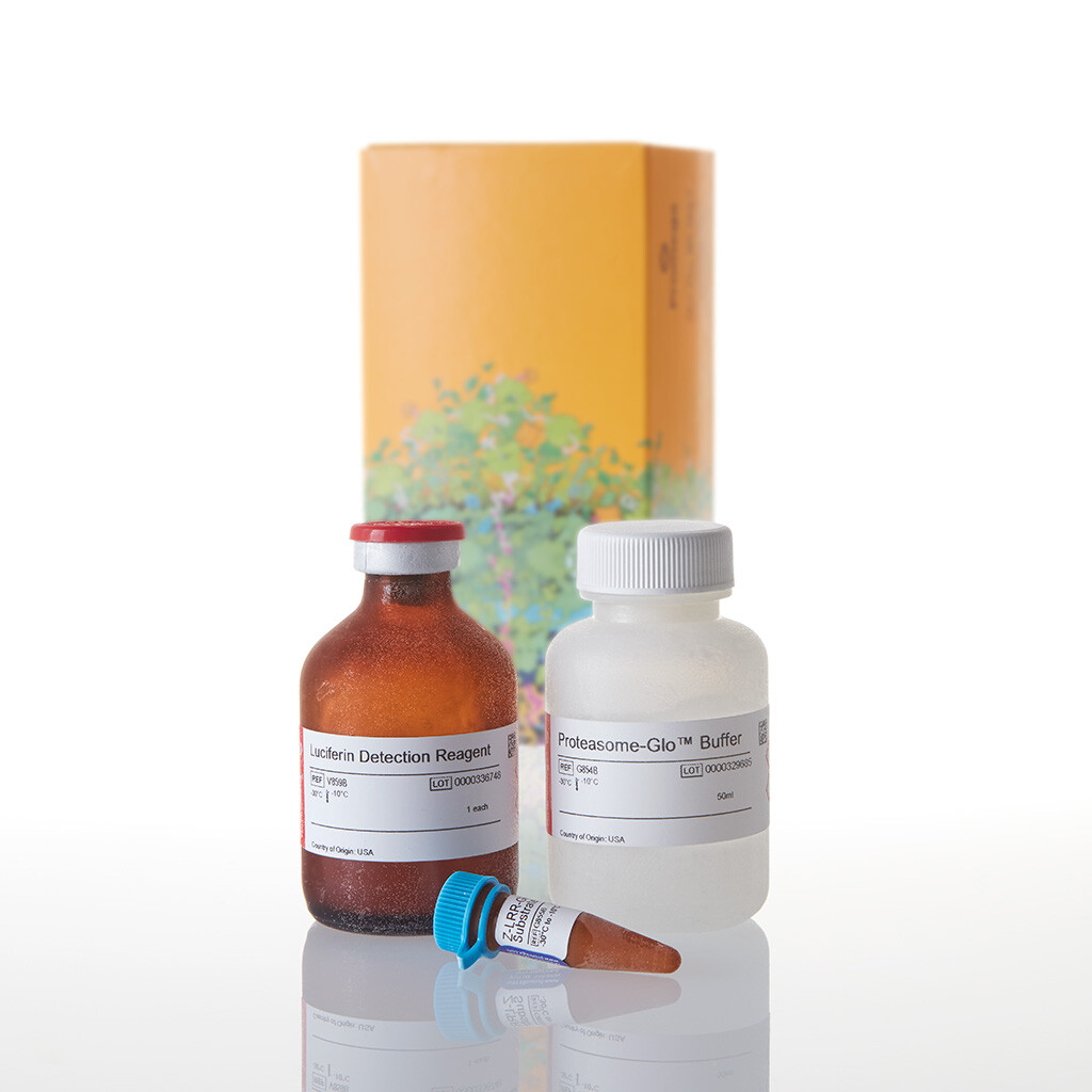 Proteasome-Glo TrypsinLike Assay 50 ml