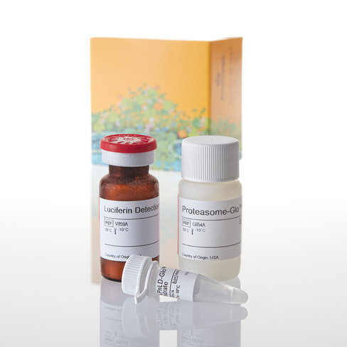 Proteasome-Glo CaspaseLike Assay 10 ml
