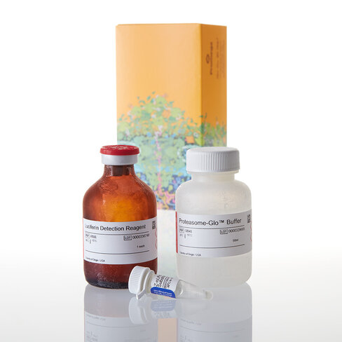 Proteasome-Glo CaspaseLike Assay 50 ml