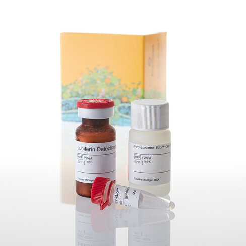 Proteasome-Glo Chymotrypsin-Like Cell 10 mL