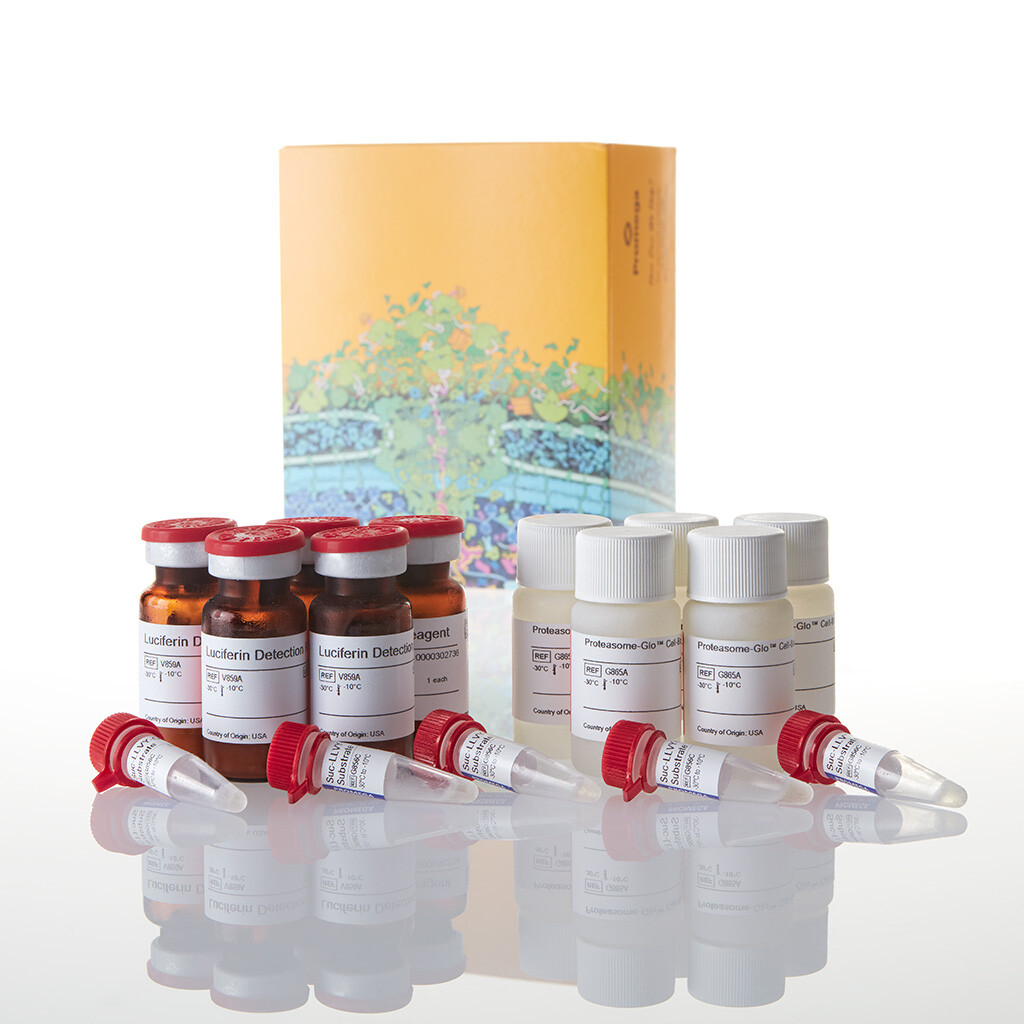 Proteasome-Glo Chymotrypsin-Like Cell 50 mL