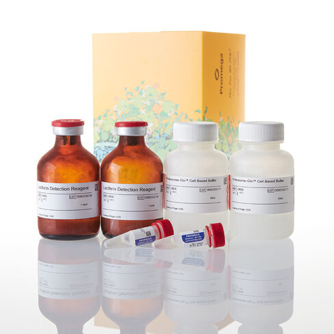 Proteasome-Glo Chymotrypsin-Like Cell-Based Assay 2x50 ml