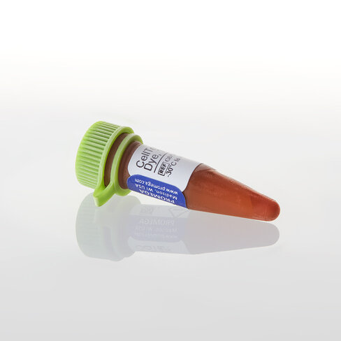CellTox Green Express Cytotoxicity Assa 200 µl