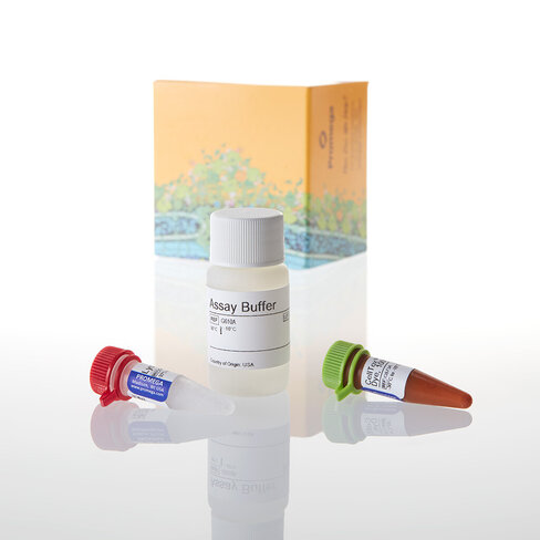 CellTox Green Cytotoxicity Assay 10 mL