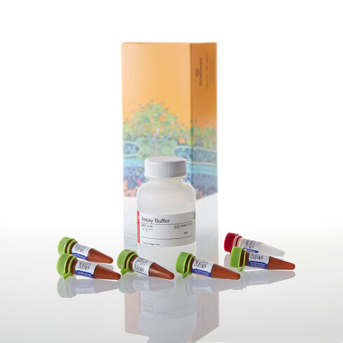 CellTox Green Cytotoxicity Assa 50 mL