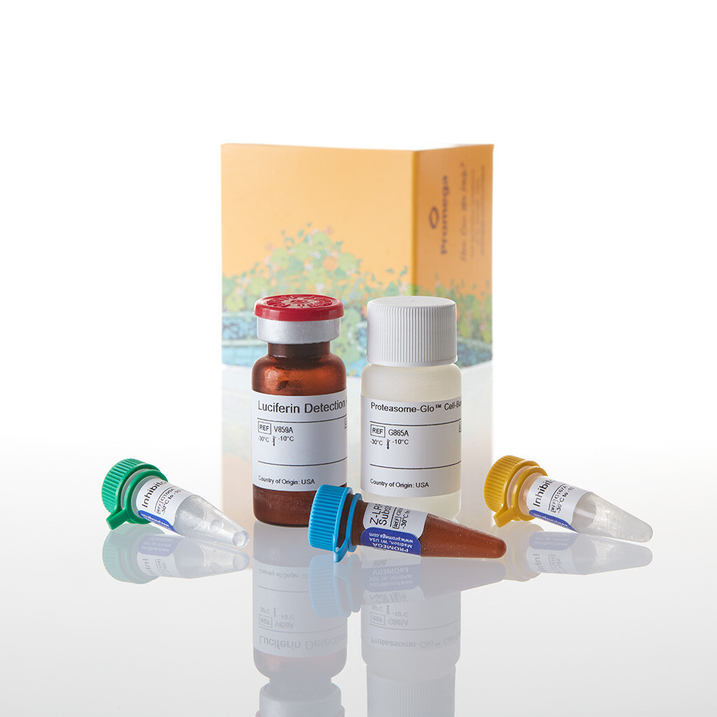 Proteasome-Glo Trypsin- Like Cell-Base 10 ml