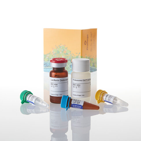 Proteasome-Glo Trypsin- Like Cell-Base 10 ml