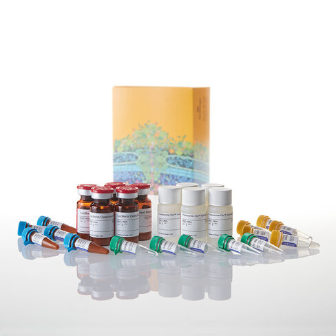 Proteasome-Glo Trypsin- Like Cell-Base 50 mL