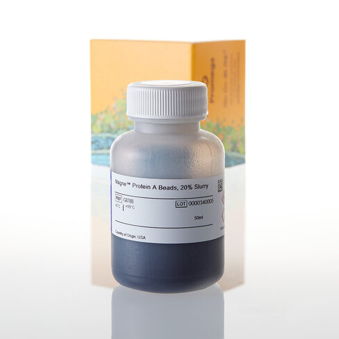 Magne Protein A Beads 50 ml