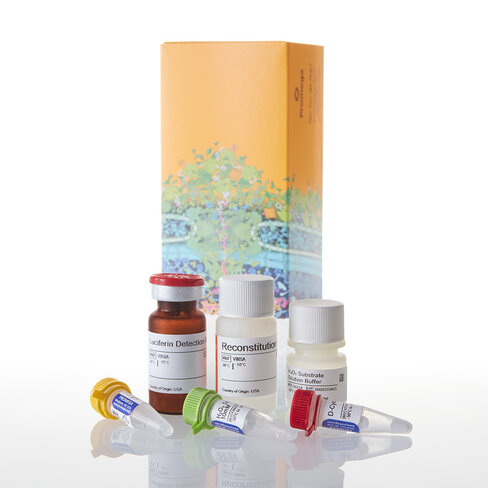 ROS-Glo H2O2 Assay 10 mL