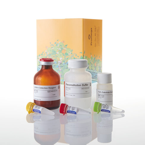 ROS-Glo H2O2 Assay 50 mL