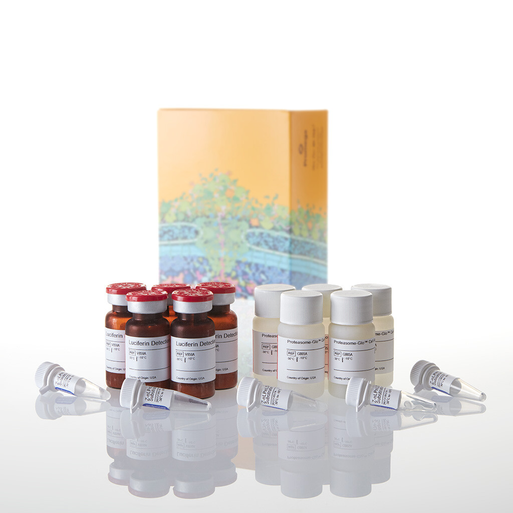 Proteasome-Glo Caspase- Like Cell-Base 50 mL