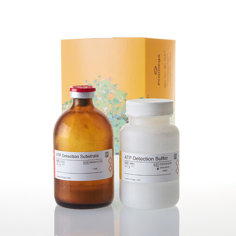 Viral ToxGlo Assay 100 mL