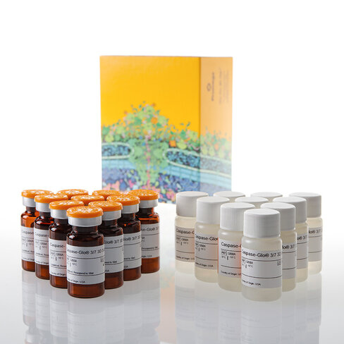 Caspase-Glo 3/7 3D Assay 10 × 10 ml