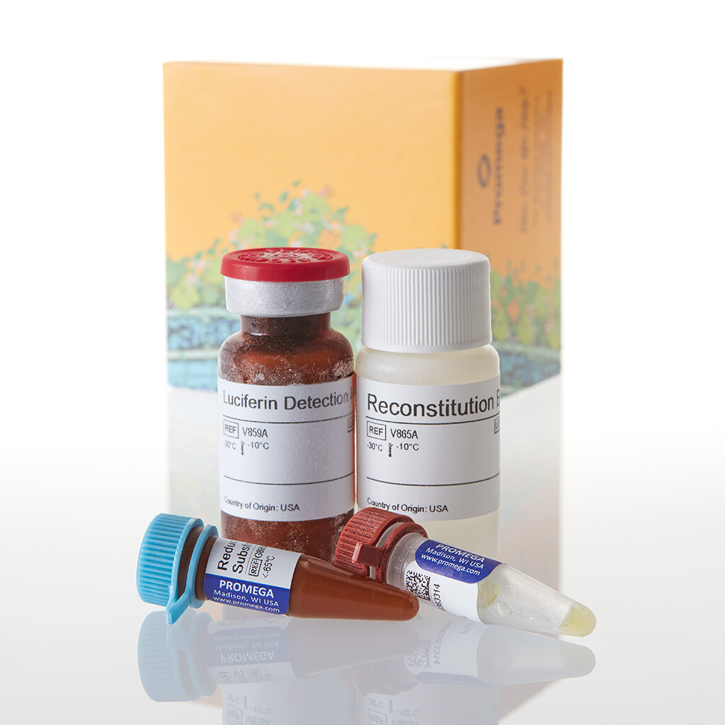 NAD(P)H-Glo Detection System 10 ml