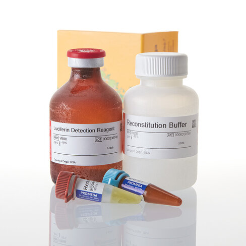 NAD(P)H-Glo Detection System 50 ml