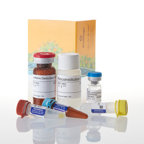 NAD/NADH-Glo Assay 10 mL