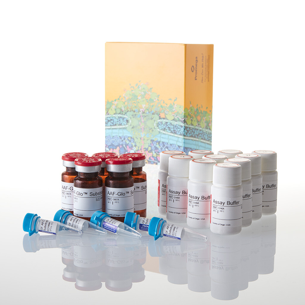 MultiTox-Glo Multiplex Cytotoxicity Assa 50 mL