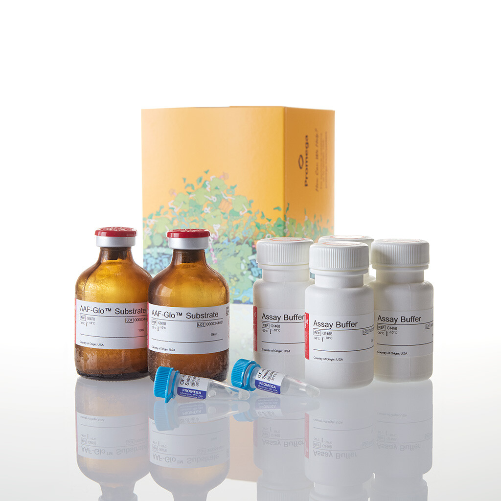 MultiTox-Glo Multiplex Cytotoxicity Assay 2x50 ml