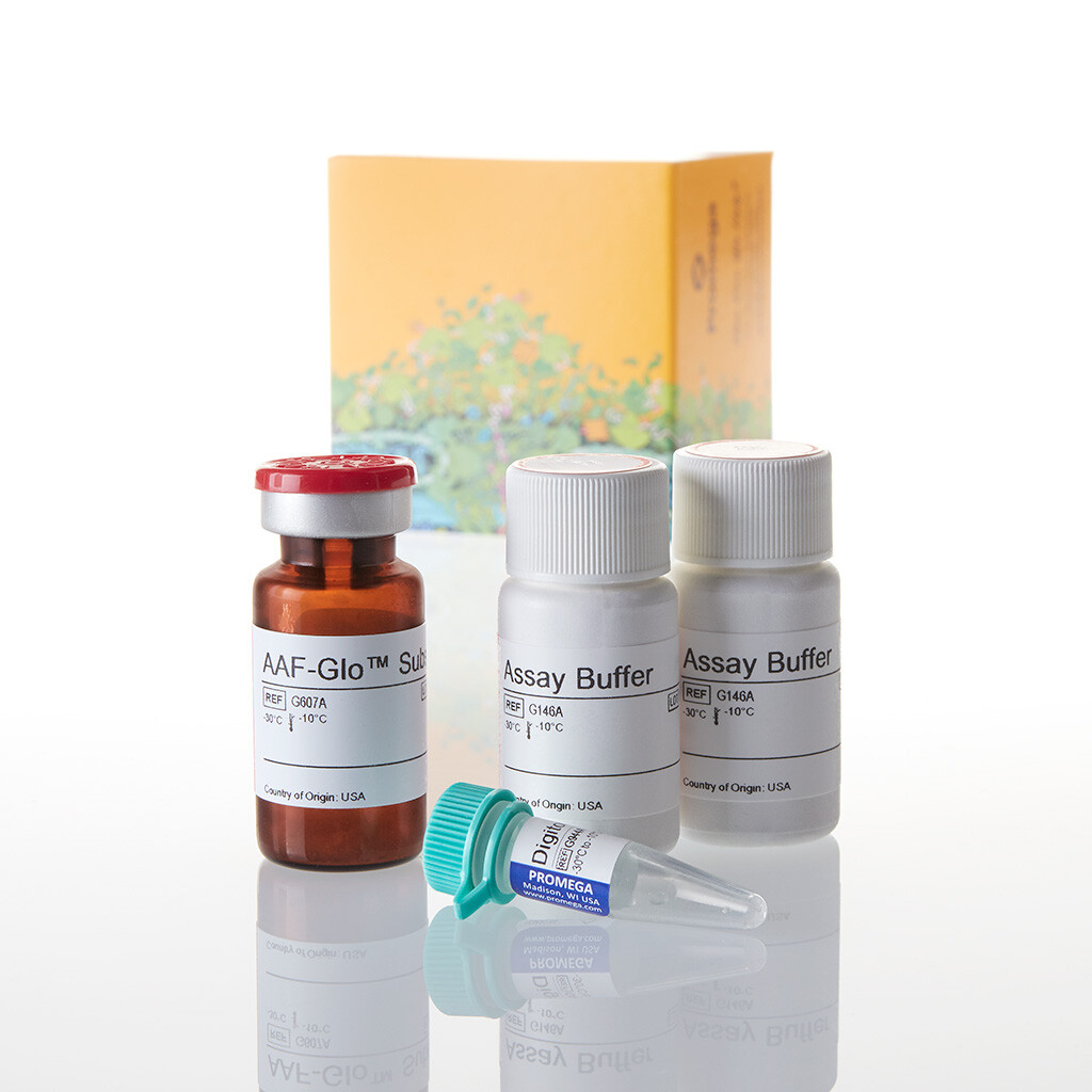 CytoTox-Glo Cytotoxicity Assay 10 mL