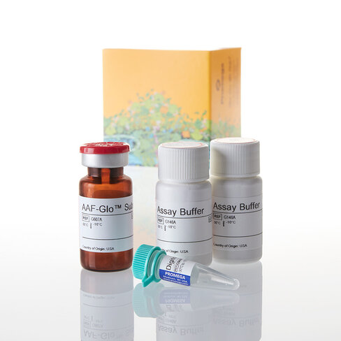 CytoTox-Glo Cytotoxicity Assay 10 mL