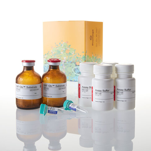 CytoTox-Glo Cytotoxicity Assay 100 mL