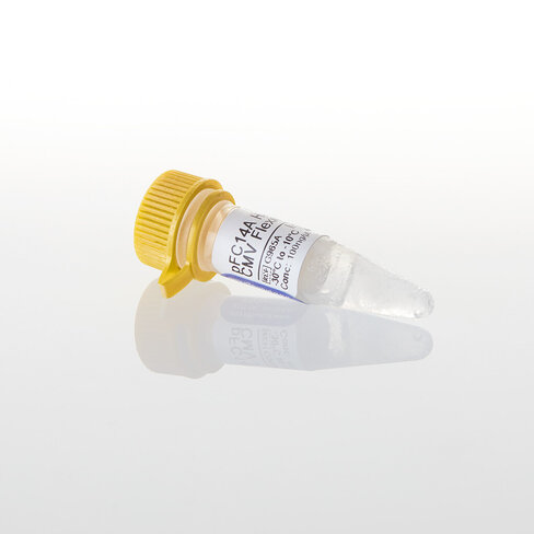 PFC14A HaloTag CMV Flexi Vector 20 µg