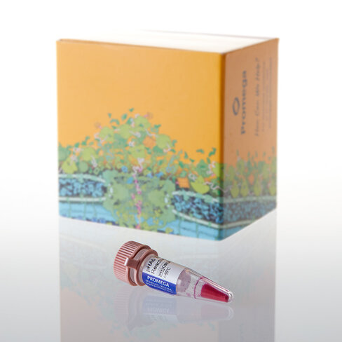 PHAb Thiol Reactive Dye 250 µg