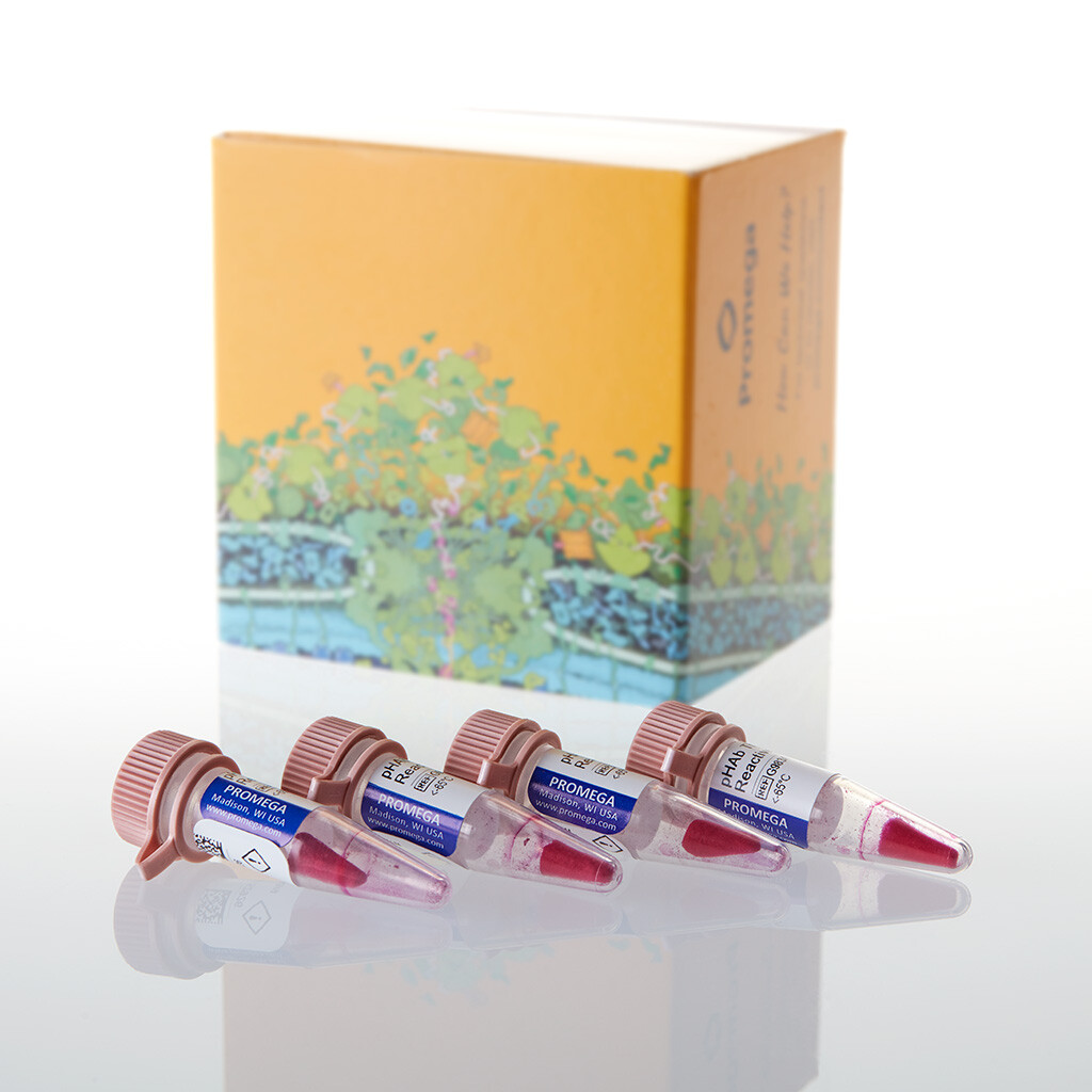 PHAb Thiol Reactive Dye 1000 µg