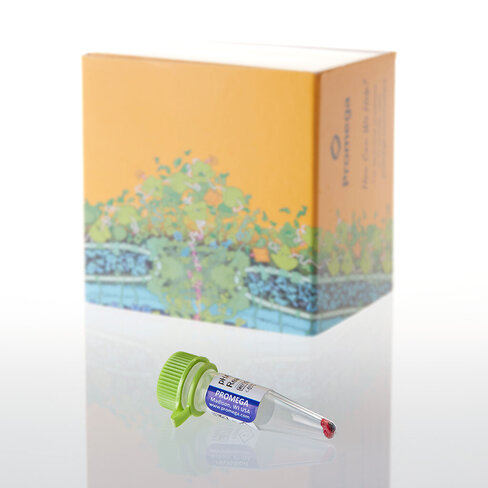 PHAb Amine Reactive Dye 250 µg