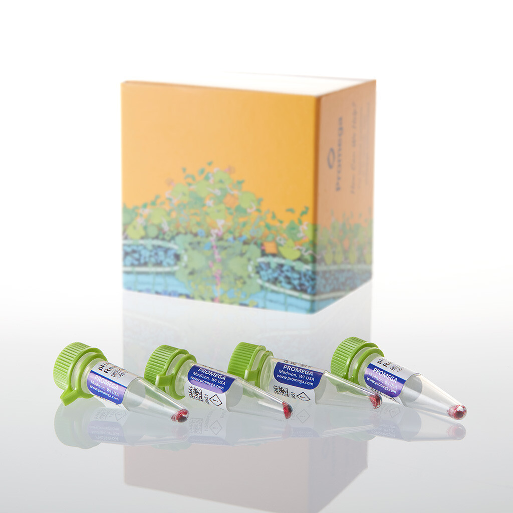 PHAb Amine Reactive Dye 1 mg 4 × 250 µg 1000 µg