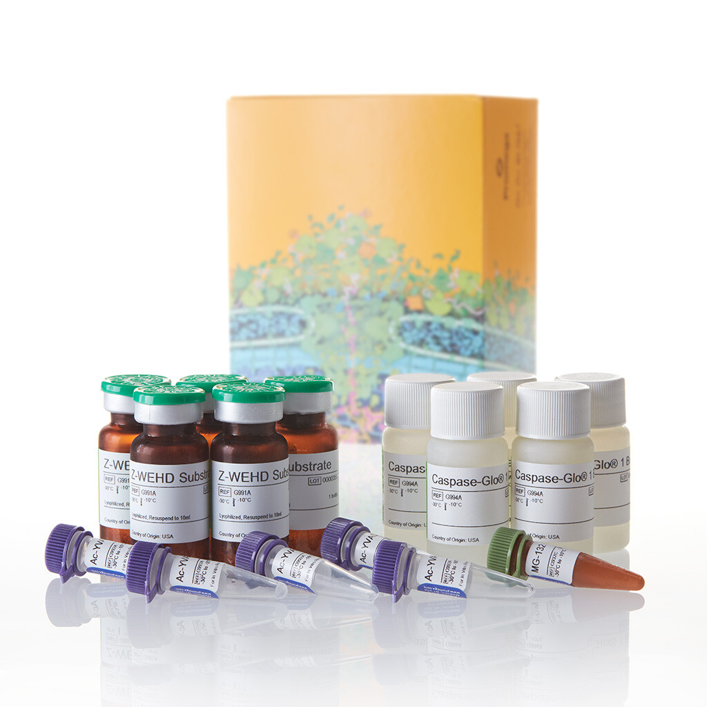 Caspase-Glo 1 Inflammasome Asy 50 mL
