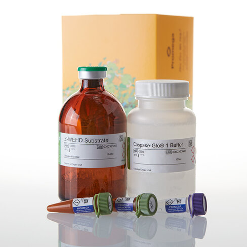 Caspase-Glo 1 Inflammasome Assay 100 ml