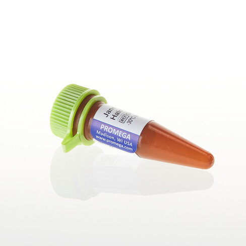 Janelia Fluor 549 HaloTag Ligand 5 µg