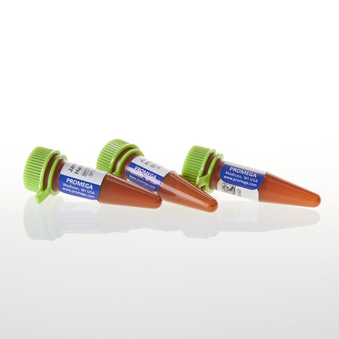 Janelia Fluor 549 HaloTag Ligand 15 µg