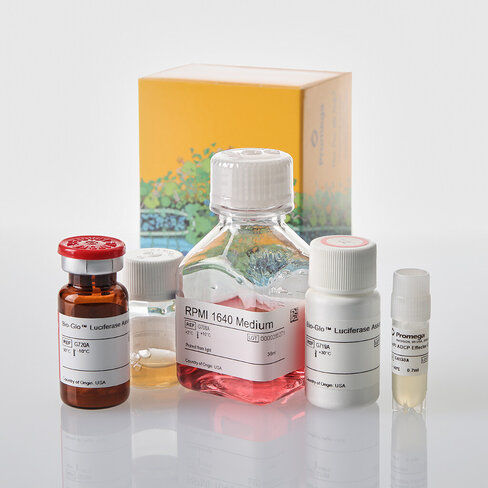 Fc GammaRI ADCP Reporter Bioassay, Core Kit                               1X vials
