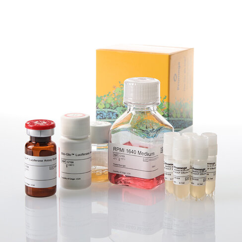 Fc GammaRI ADCP Reporter Bioassay, Core Kit 5X 5X vials