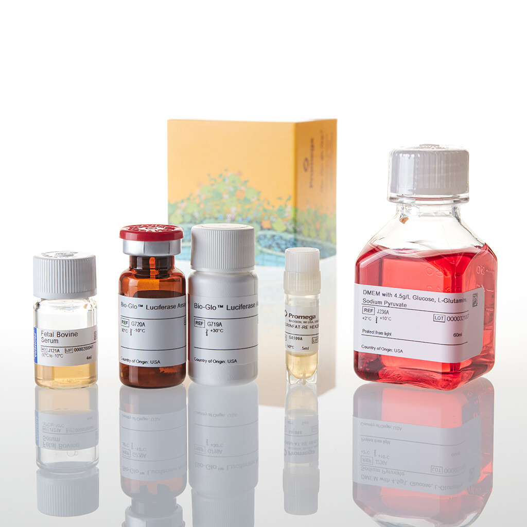 VEGF Bioassay X1 1 each