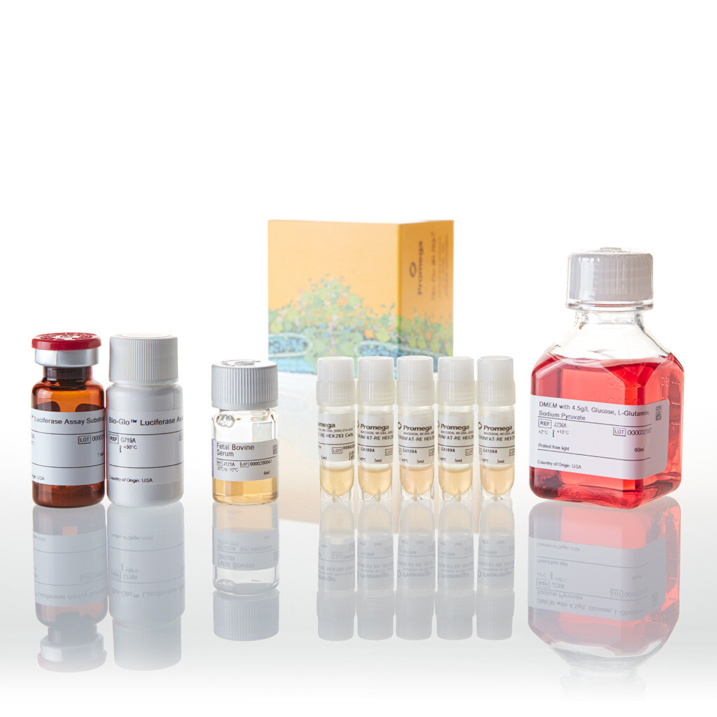 VEGF Bioassay X5 1 each