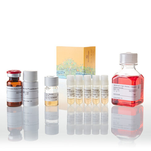 VEGF Bioassay X5 1 each